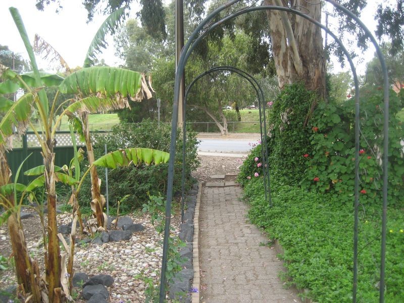 81 Elizabeth Street, Banksia Park SA 5091