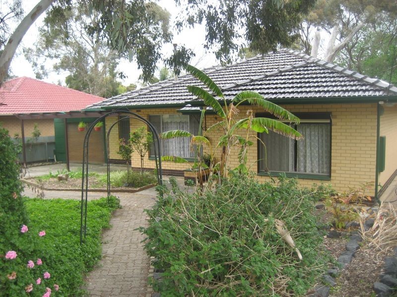 81 Elizabeth Street, Banksia Park SA 5091
