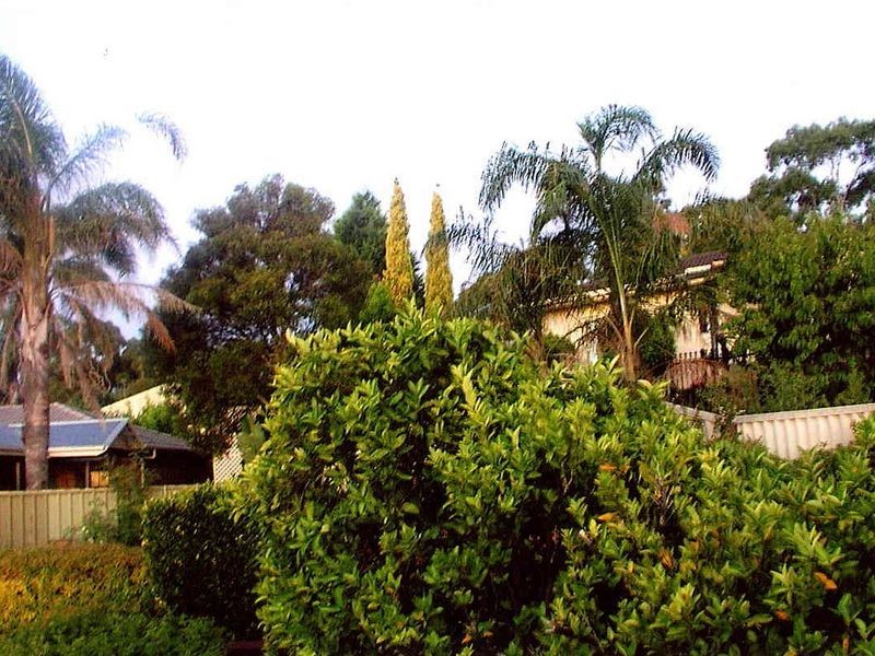 22 Linwood Court, Wynn Vale SA 5127