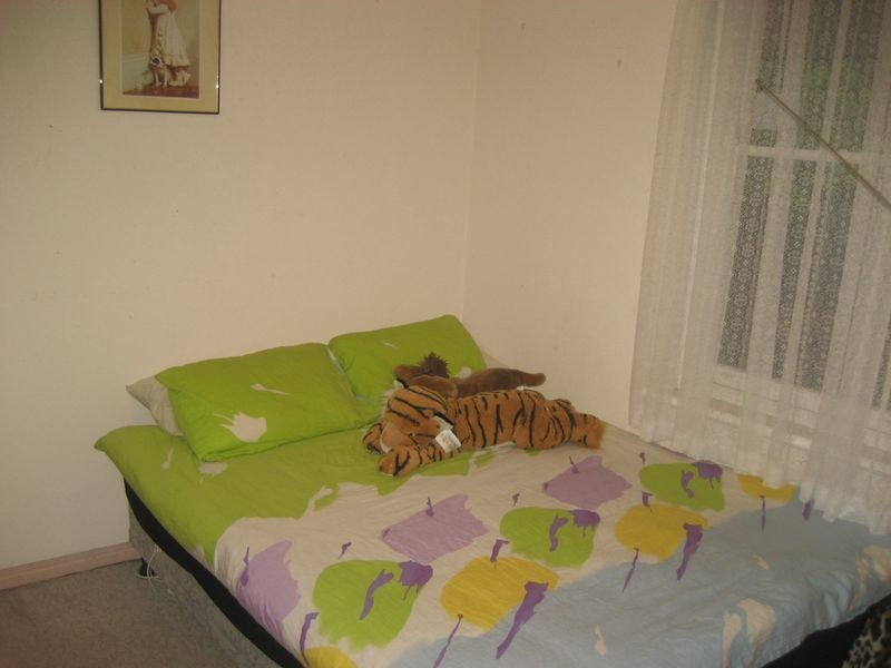 13 Grenache Avenue, Modbury SA 5092