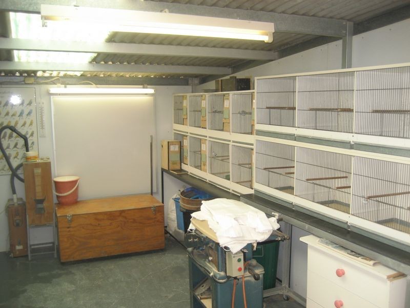 9 Baldwin Court, Wynn Vale SA 5127