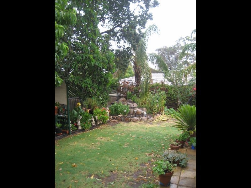 18 Kurrajong Street, Surrey Downs SA 5126