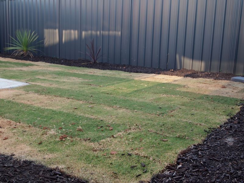 6 Lot 22 Jones Street, Munno Para West SA 5115