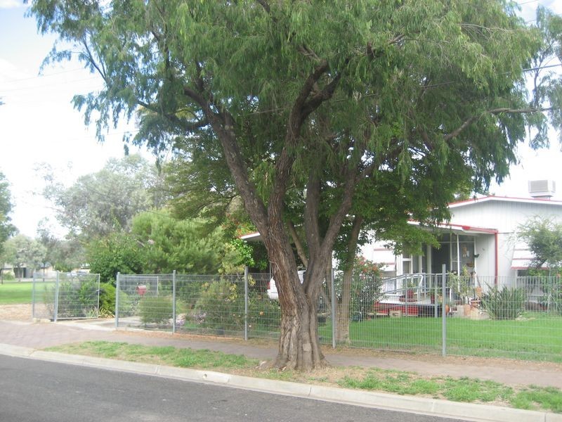 16 Fulton Street, Gilles Plains SA 5086