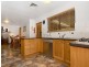 17 Plover Avenue, Modbury Heights SA 5092
