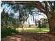 51 Kestral Way, Modbury Heights SA 5092
