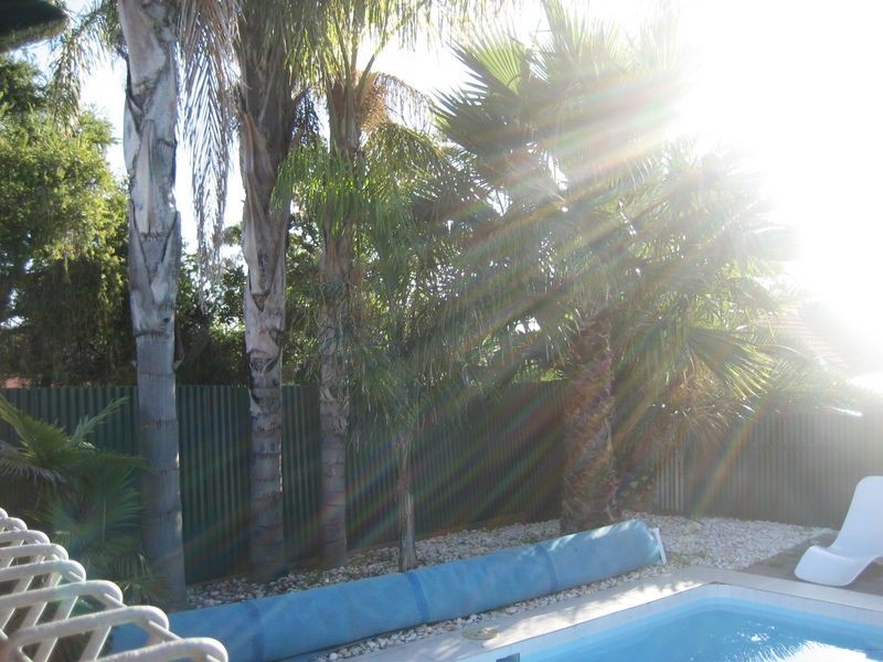 20 Gunya Crescent, Ingle Farm SA 5098