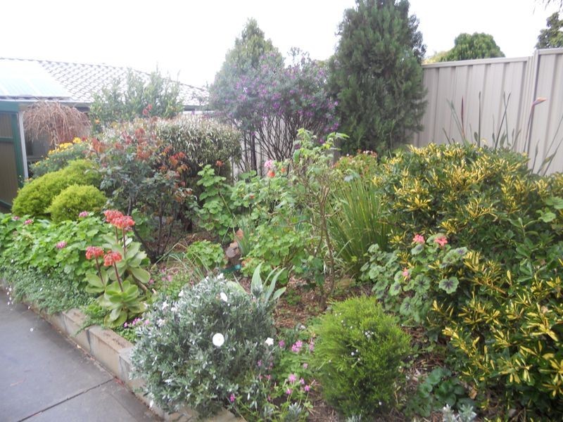 29a McNamara Street, Modbury Heights SA 5092