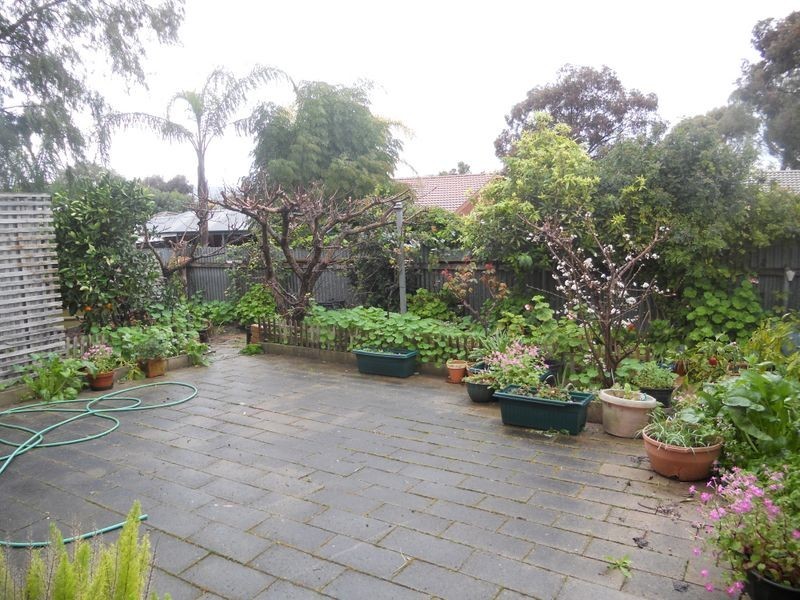 29a McNamara Street, Modbury Heights SA 5092