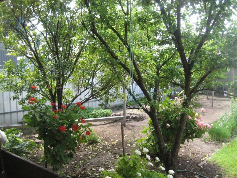 121 Crown Terrace, Royal Park SA 5014