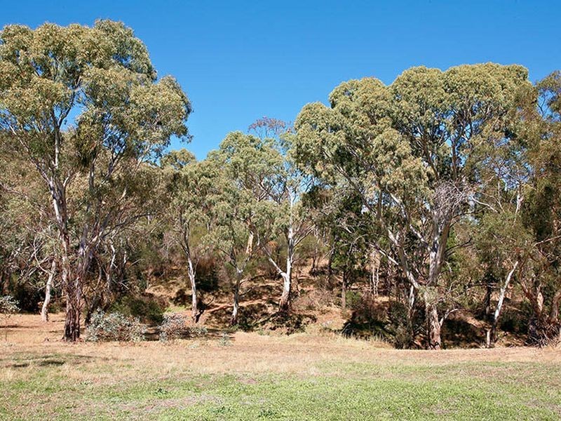 37 Perseverance Road, Tea Tree Gully SA 5091