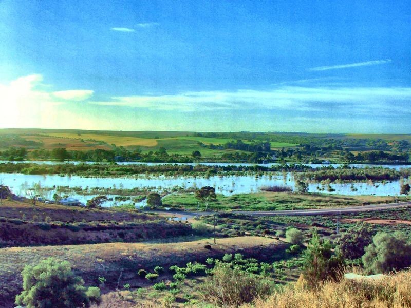 Shearer Heights, Mannum SA 5238