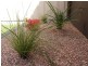 2 Spurs Avenue, Brompton SA 5007