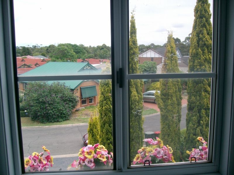 5 Trellios Street, Modbury SA 5092