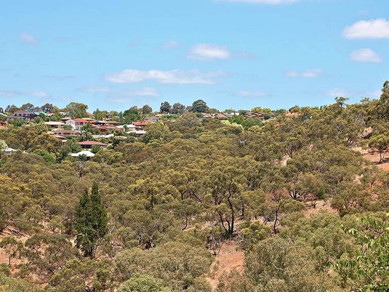 17 McCann Place, Greenwith SA 5125
