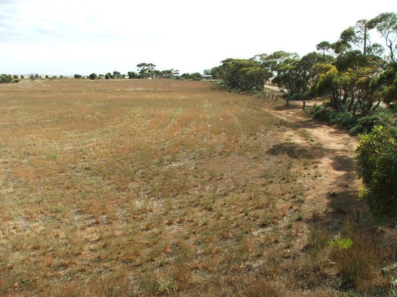 LOT 20 Adelaide Road, Mannum SA 5238