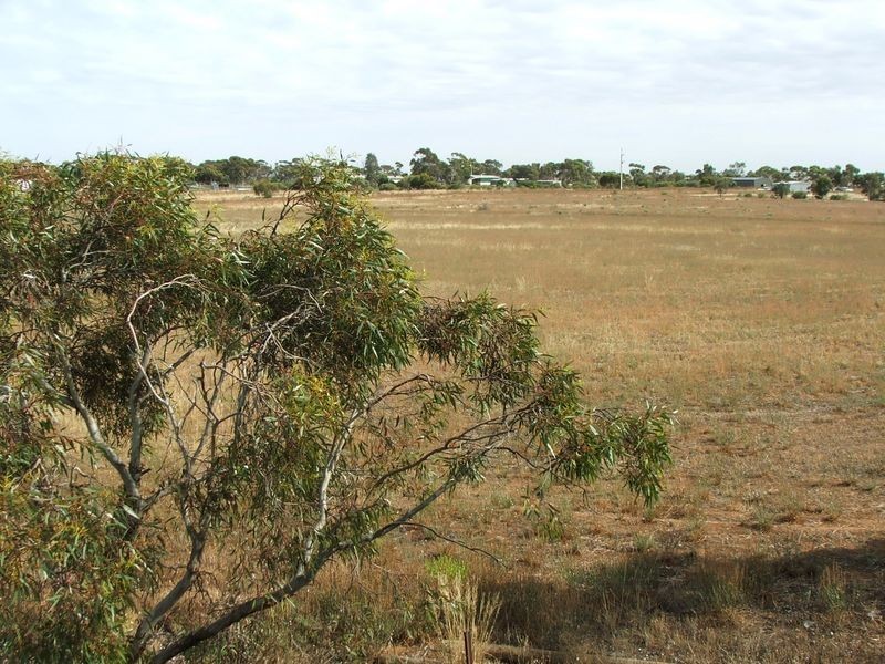 LOT 20 Adelaide Road, Mannum SA 5238