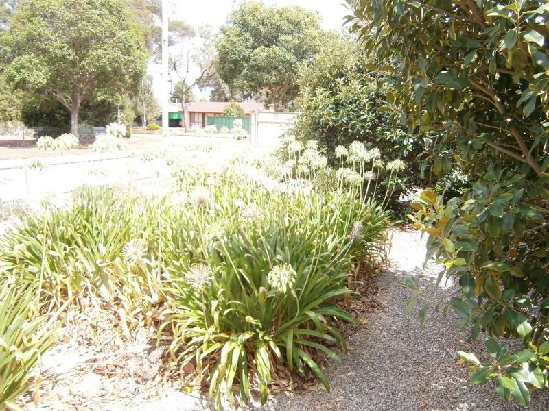 23 Frith Street, Elizabeth Grove SA 5112