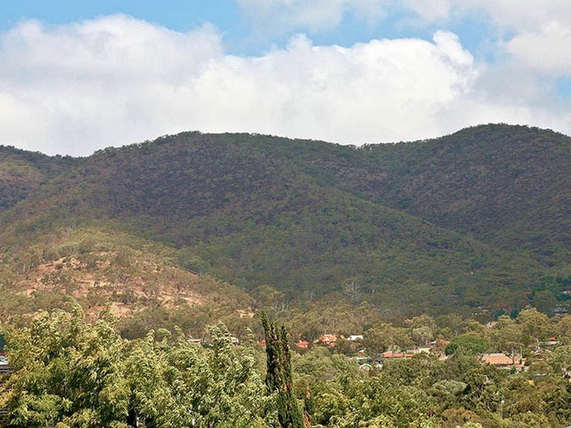 7 Walker Place, Highbury SA 5089