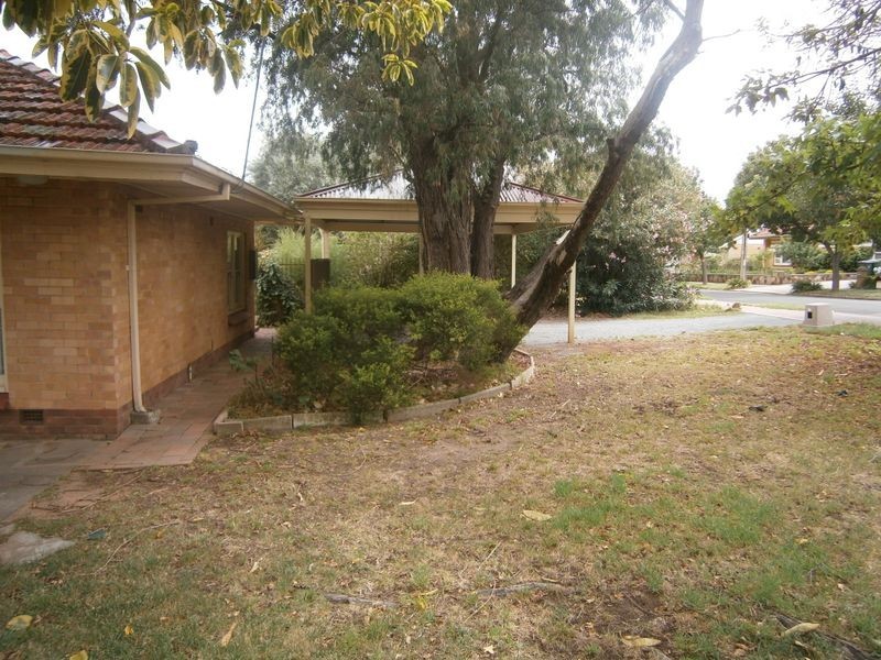 15 Mahar Street, Kensington Gardens SA 5068