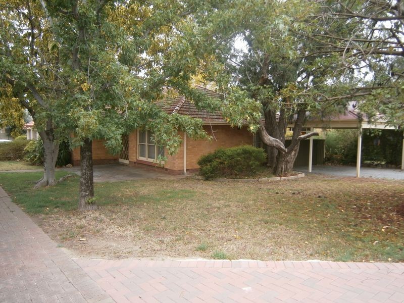 15 Mahar Street, Kensington Gardens SA 5068