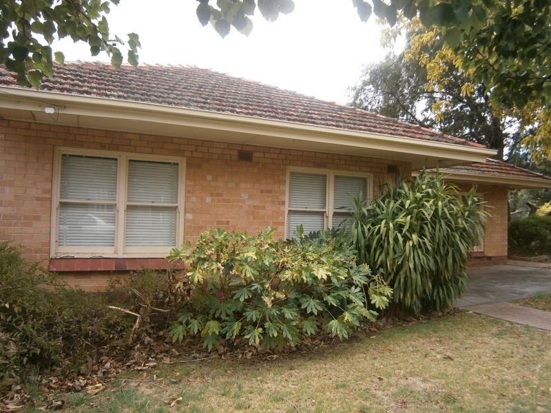 15 Mahar Street, Kensington Gardens SA 5068