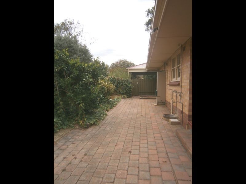 15 Mahar Street, Kensington Gardens SA 5068