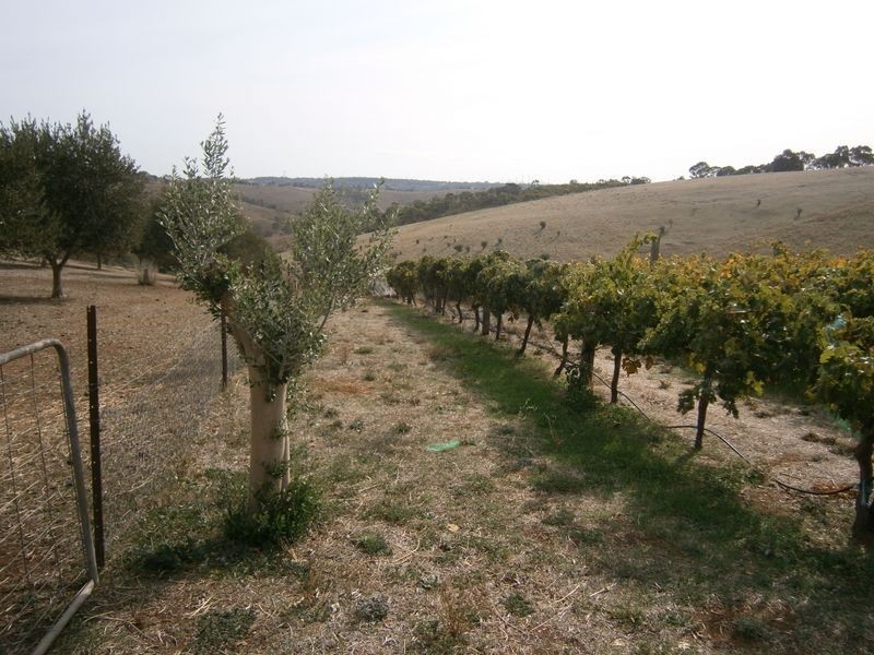 Lot 15 Precolumb Road, One Tree Hill SA 5114