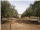 Lot 15 Precolumb Road, One Tree Hill SA 5114