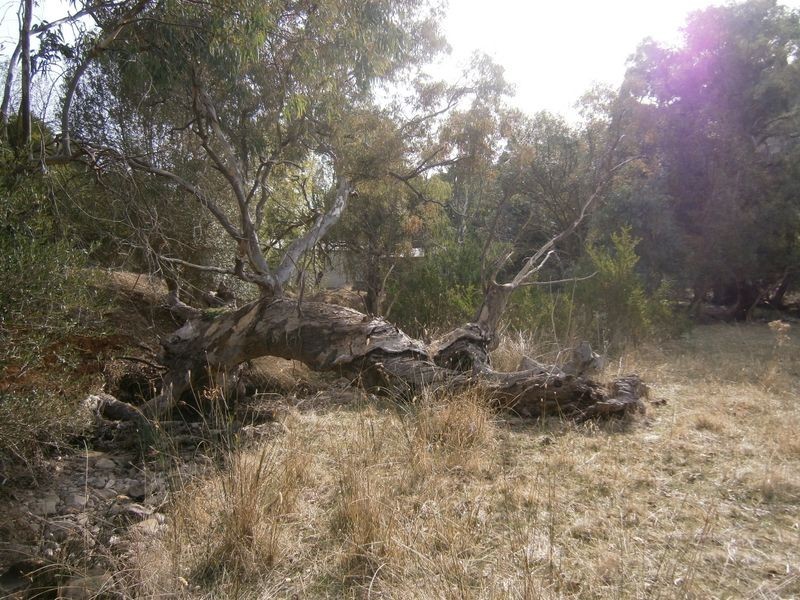 Lot 15 Precolumb Road, One Tree Hill SA 5114
