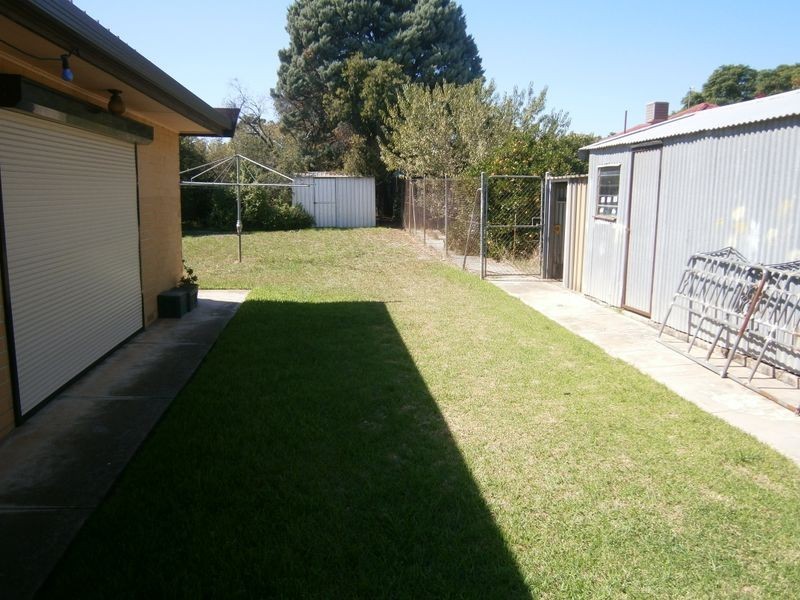 10 Bowey Avenue, Enfield SA 5085