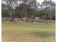 2 Beryl Court, Modbury SA 5092