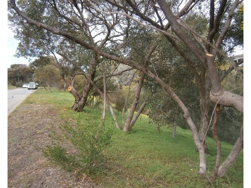 10 Prosser Street, Ingle Farm SA 5098