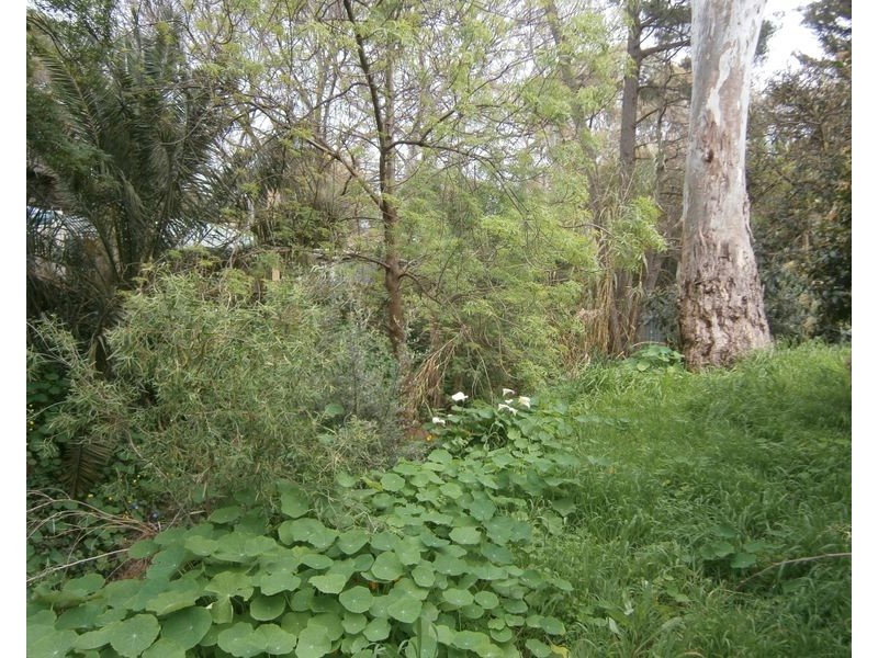 Lot 6 Burton Street, Modbury SA 5092