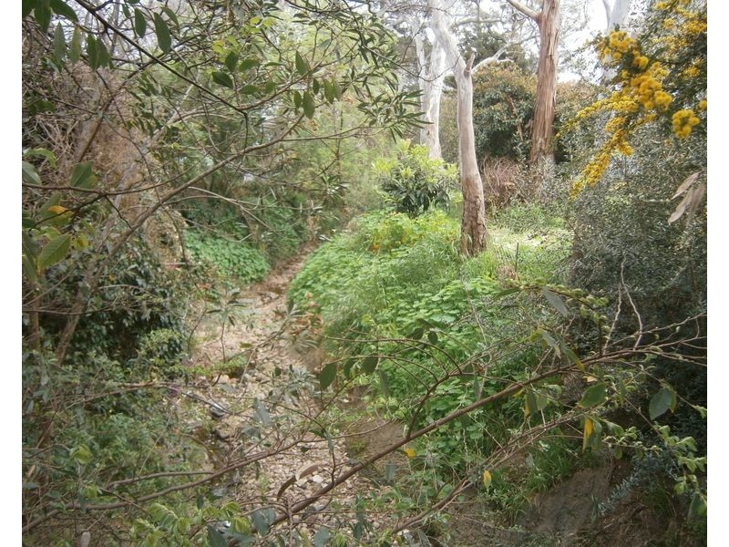 Lot 6 Burton Street, Modbury SA 5092