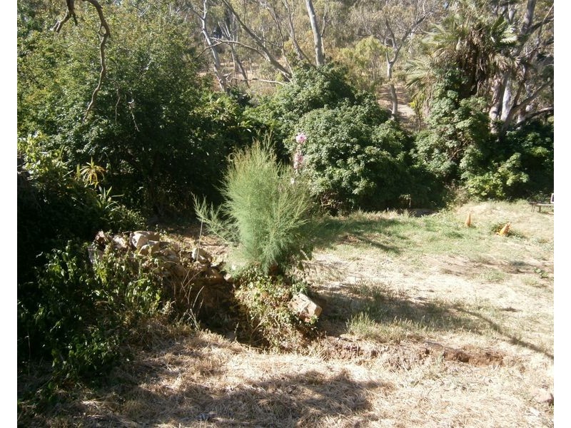 1372 North East Road, Tea Tree Gully SA 5091