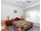 481 Grenfell Road, Banksia Park SA 5091