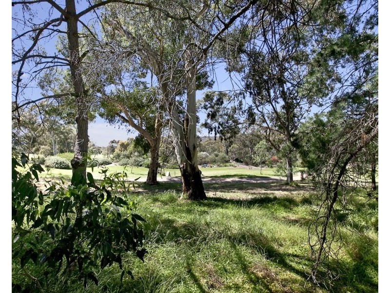 29 Ferrier Avenue, Fairview Park SA 5126