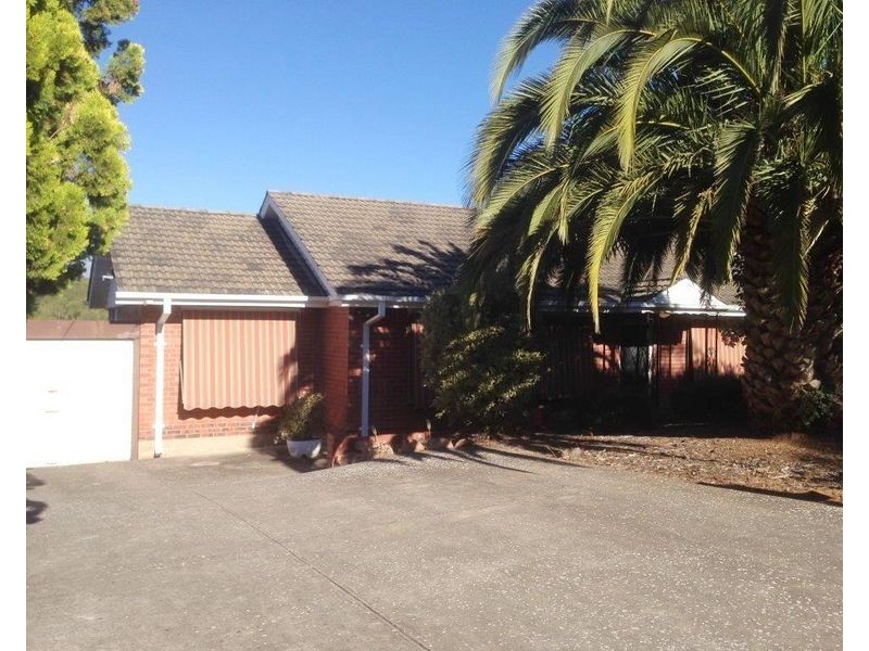 50 Rutherglen Avenue, Valley View SA 5093