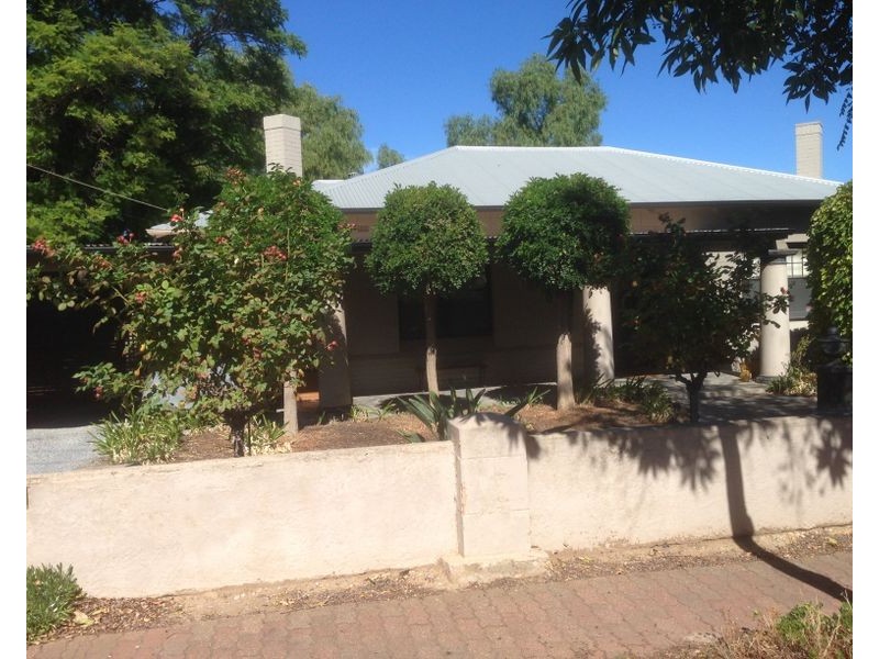 27 Cassie Street, Collinswood SA 5081