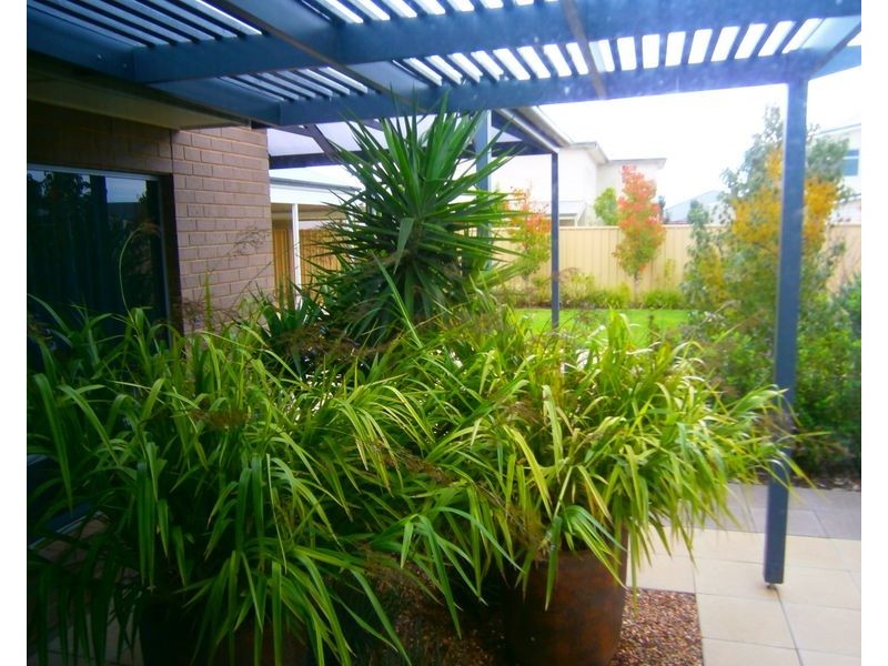 11 Douglas Drive, Munno Para SA 5115