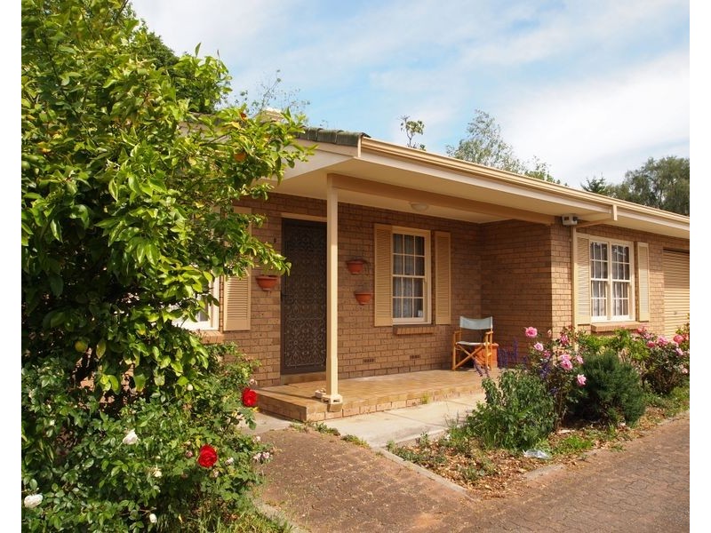 8/274 Ward Street, North Adelaide SA 5006