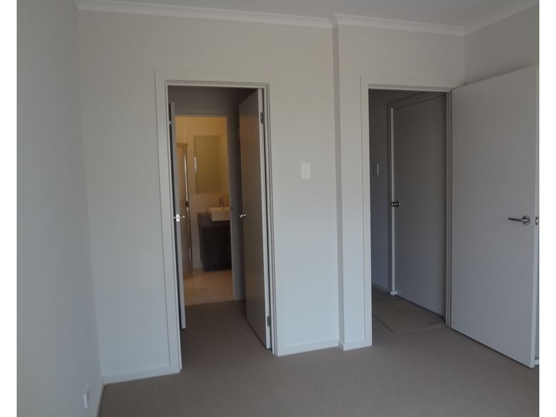 17 Livingston Street, Evanston Gardens SA 5116