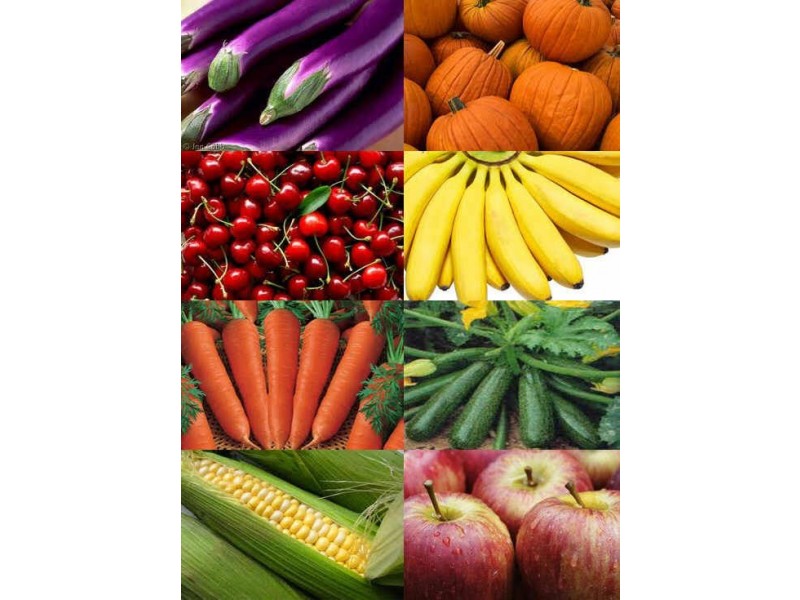 1828 Channel Highway, Margate TAS 7054