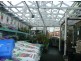 36 Lincoln Street, Lindisfarne TAS 7015