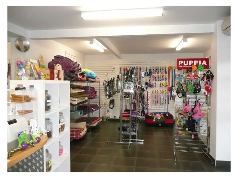 55 Albert Road, Moonah TAS 7009