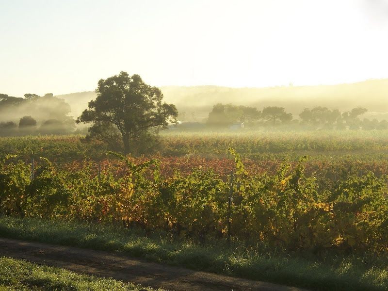 80 Glen Gala Road, Cranbrook TAS 7190