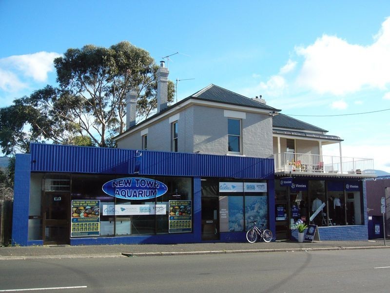184 New Town Road, New Town TAS 7008