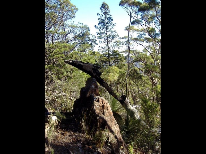 199 Rosedale Road, Bicheno TAS 7215