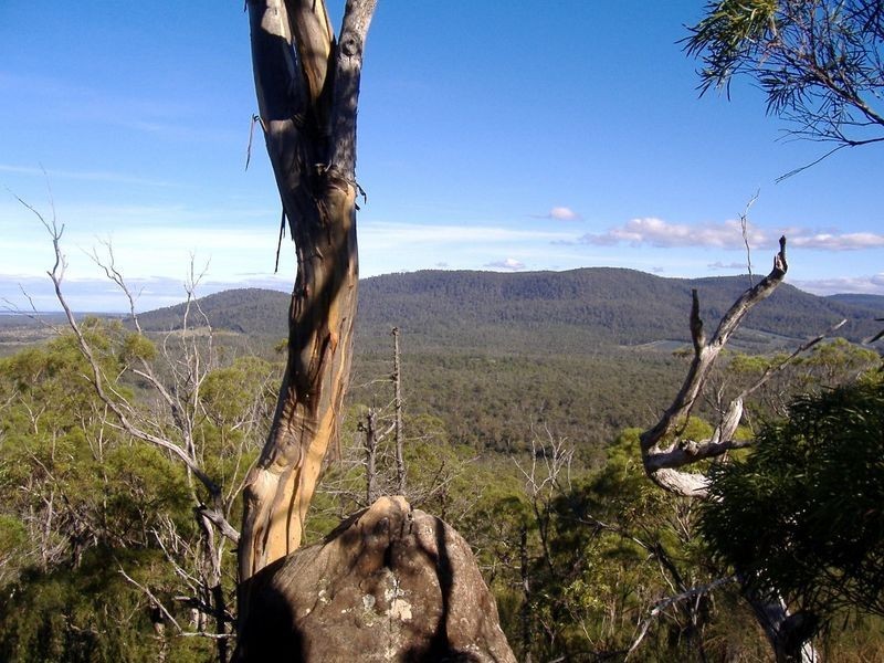 199 Rosedale Road, Bicheno TAS 7215